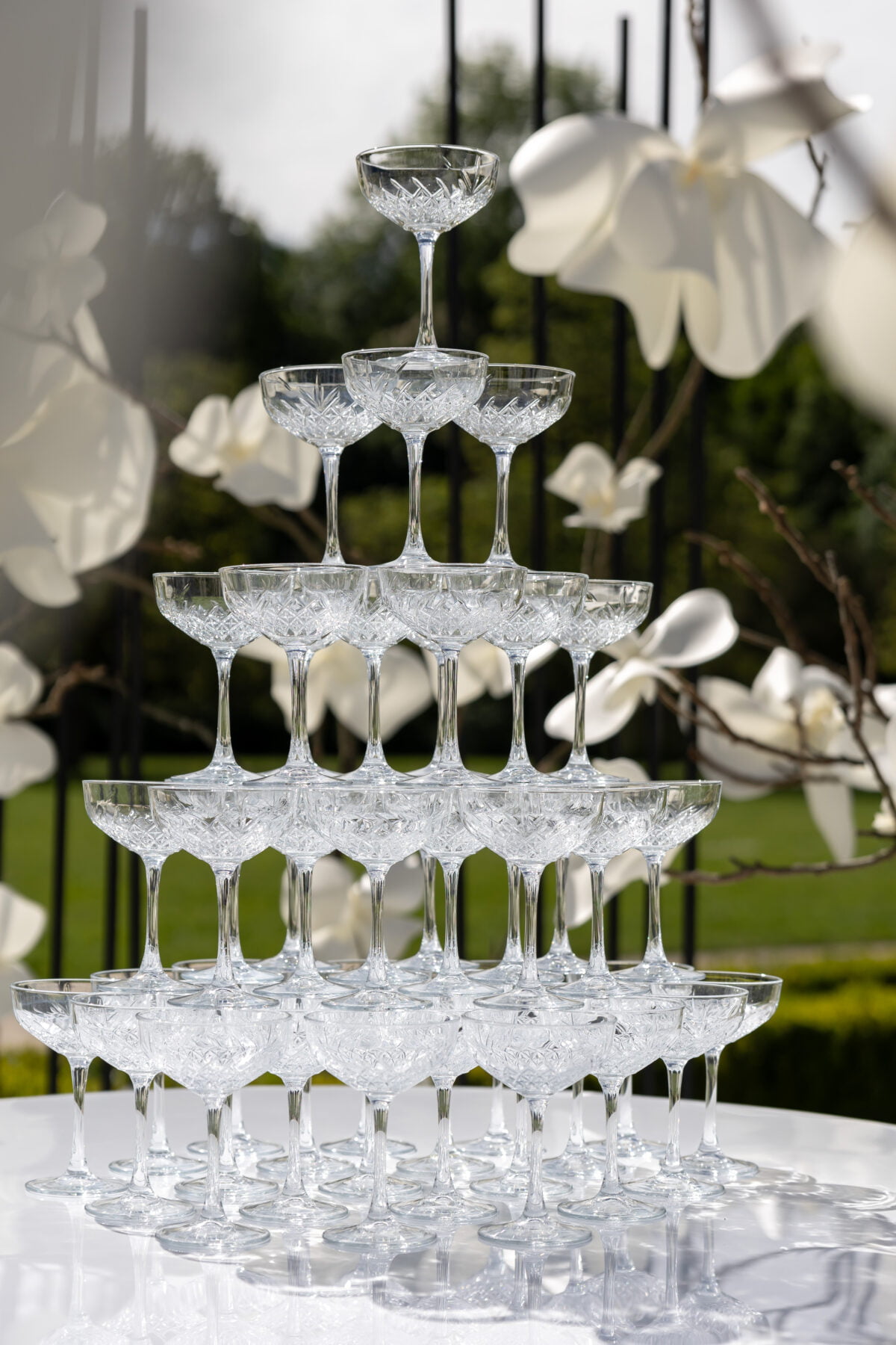 Belvedere Wedding Club