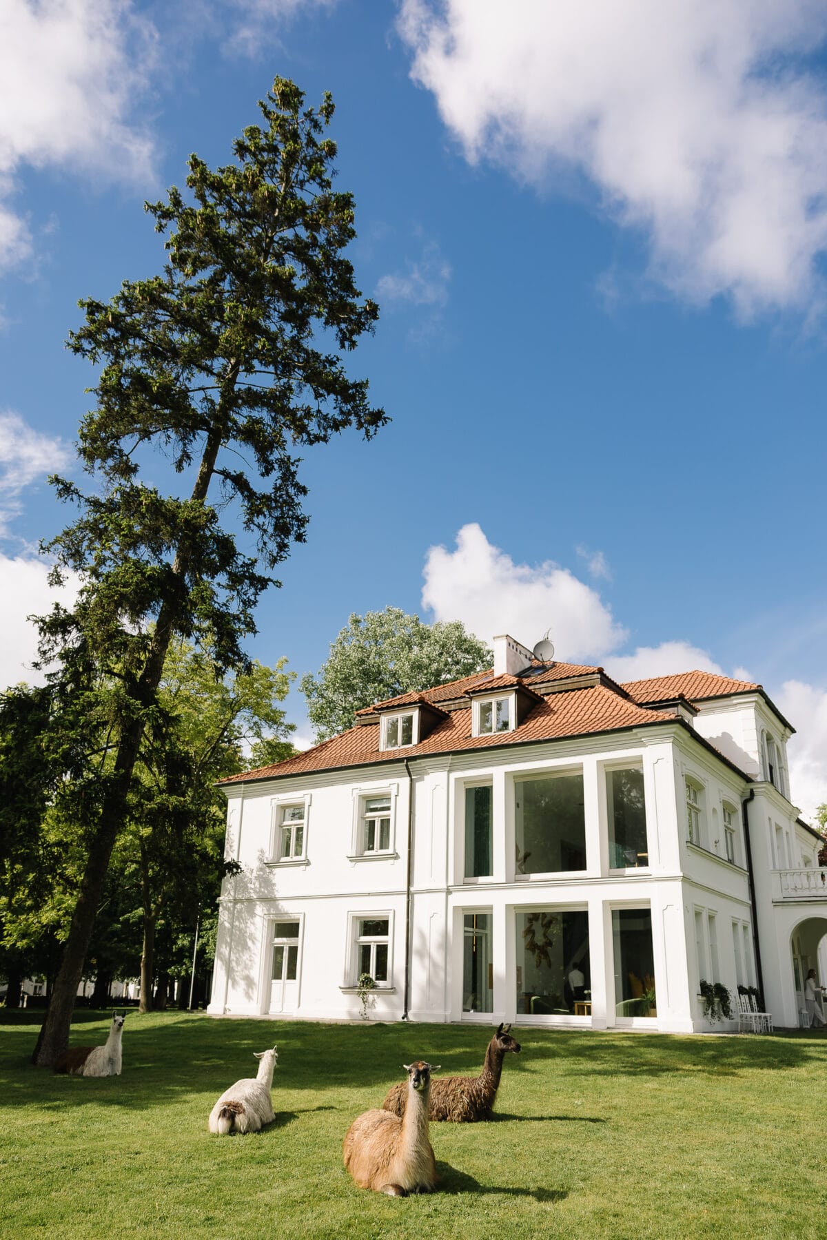 palac czosnowski fotograf slubny jakubmajevski 064