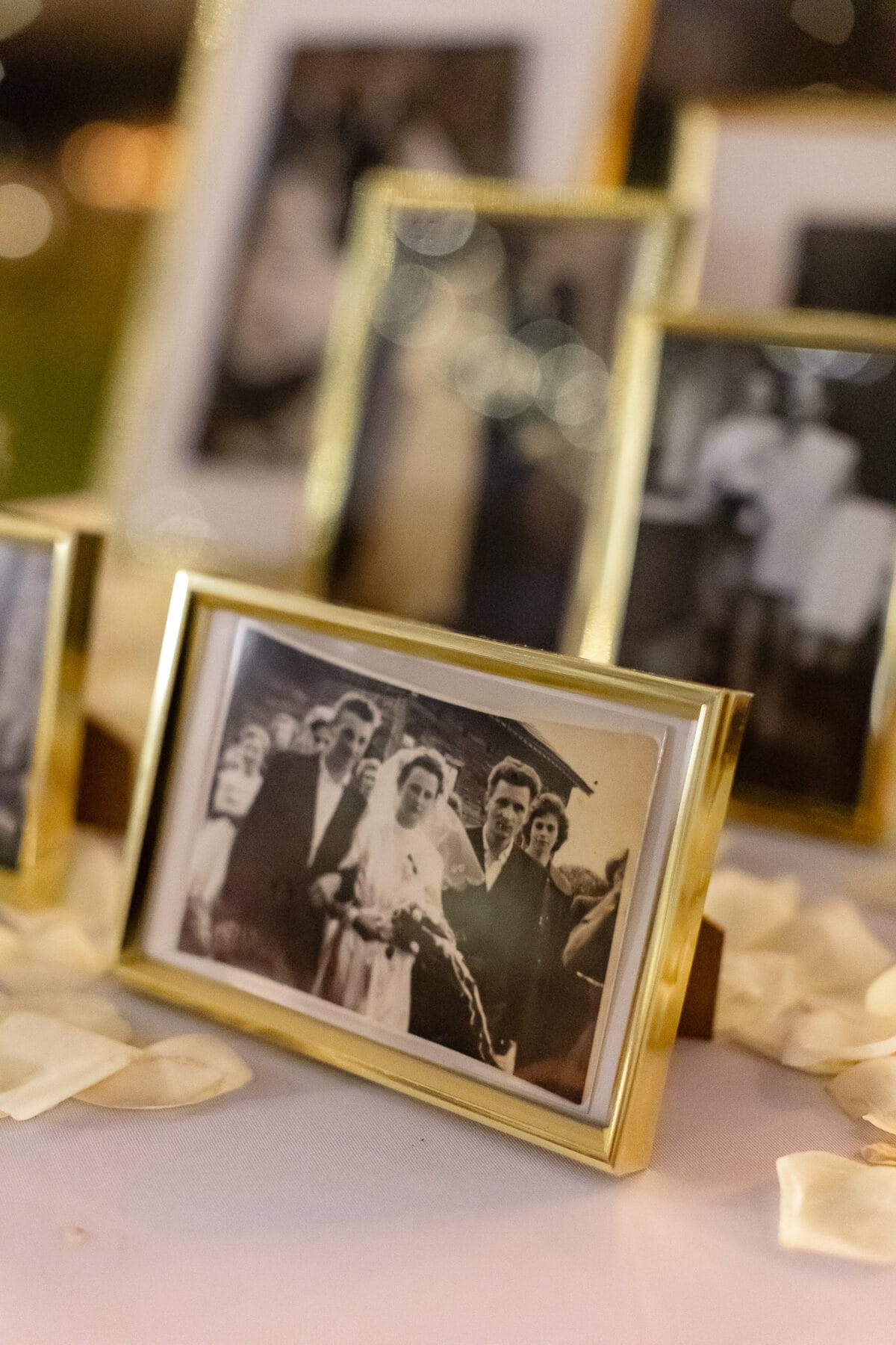 palac czosnowski fotograf slubny jakubmajevski 220