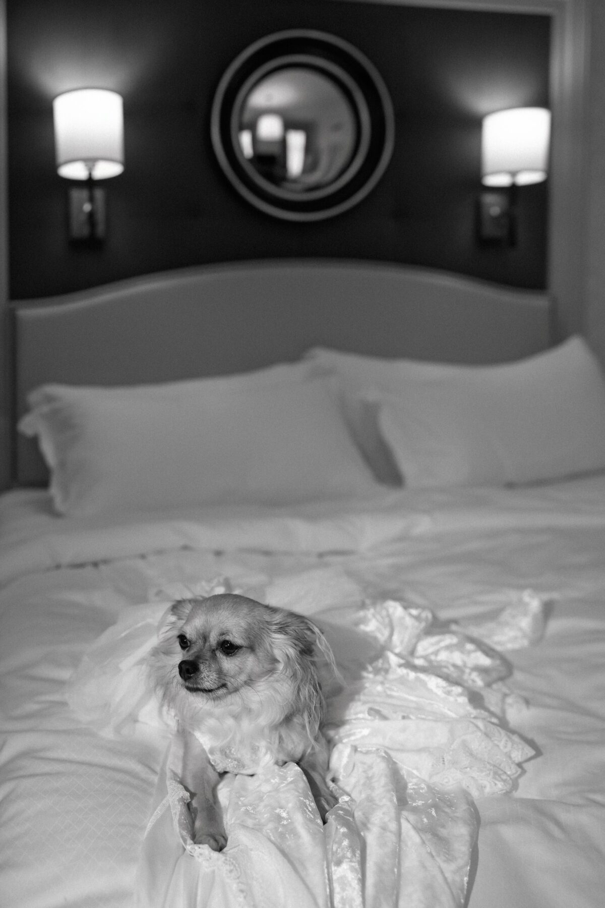 Milena & Michał 31 hotel bristol warszawa wesele mm 022